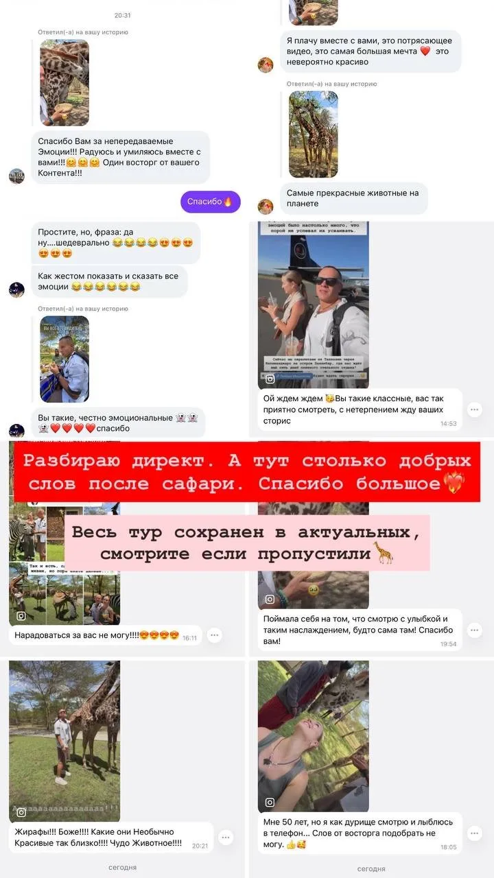 Такой зеленый отель я давно не видел. Настоящий оазис 🌴