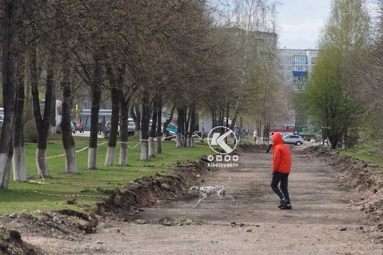 В Киселевске определены места, разрешенные для выгула домашних животных.