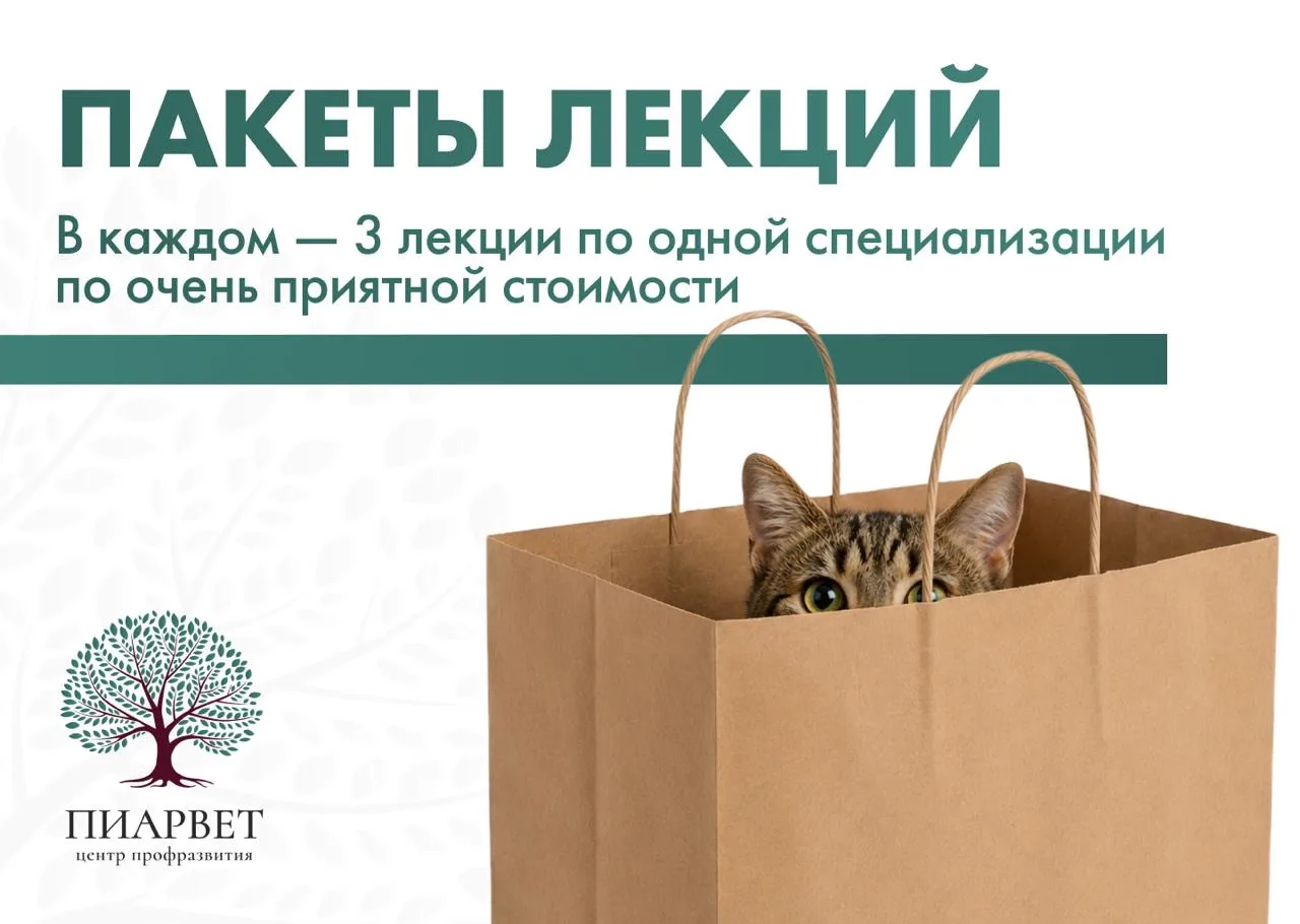 Не всегда нужен весь курс целиком