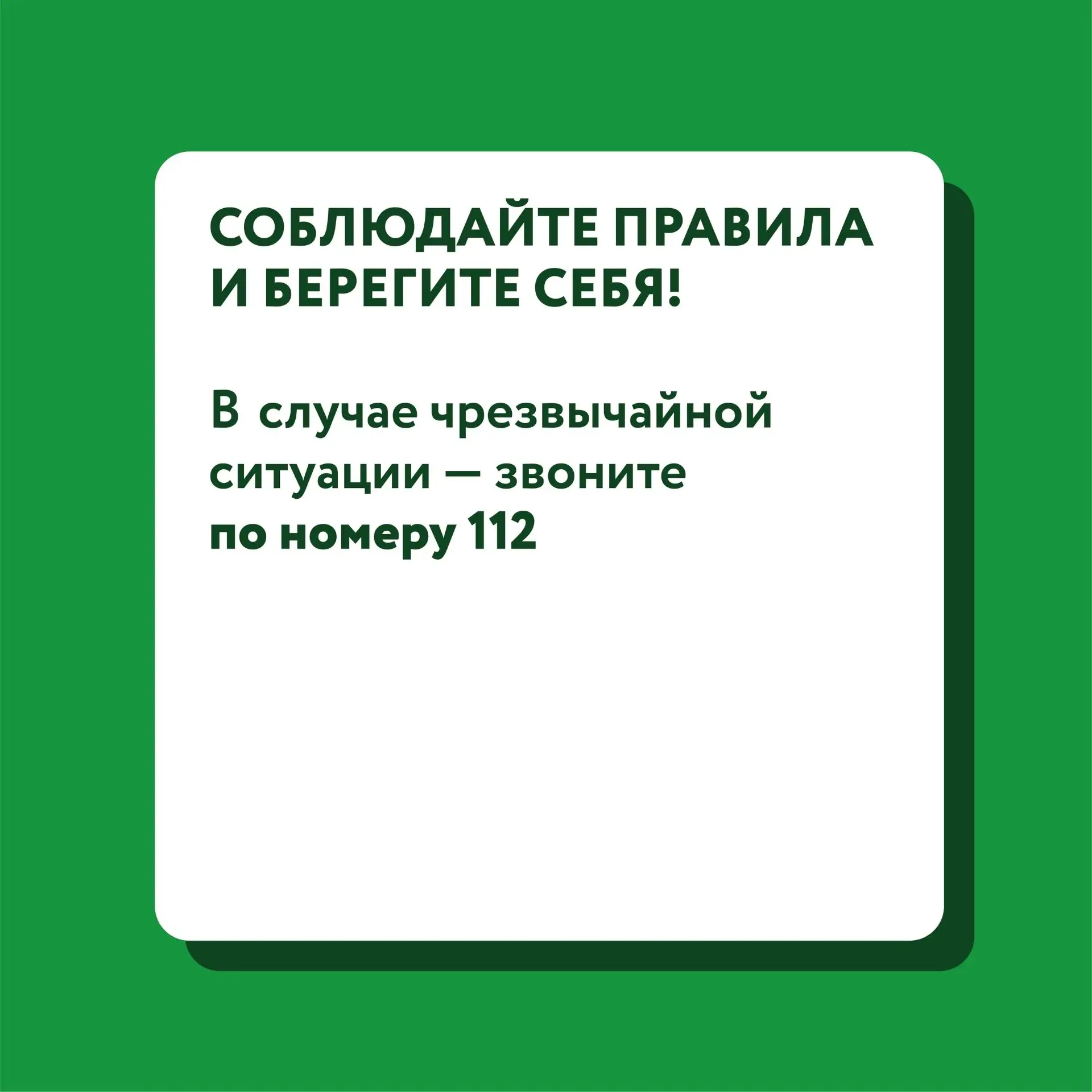 Как избежать опасности при встрече с дикими животными