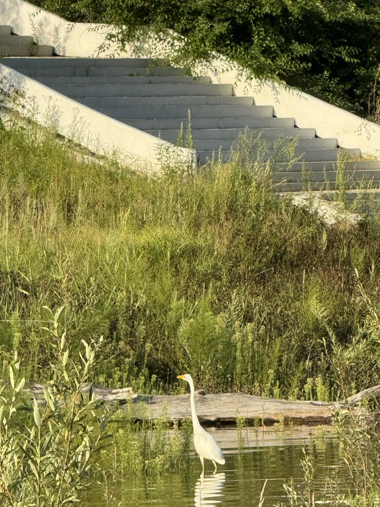 Доброе утро, аМУРчики ❤️