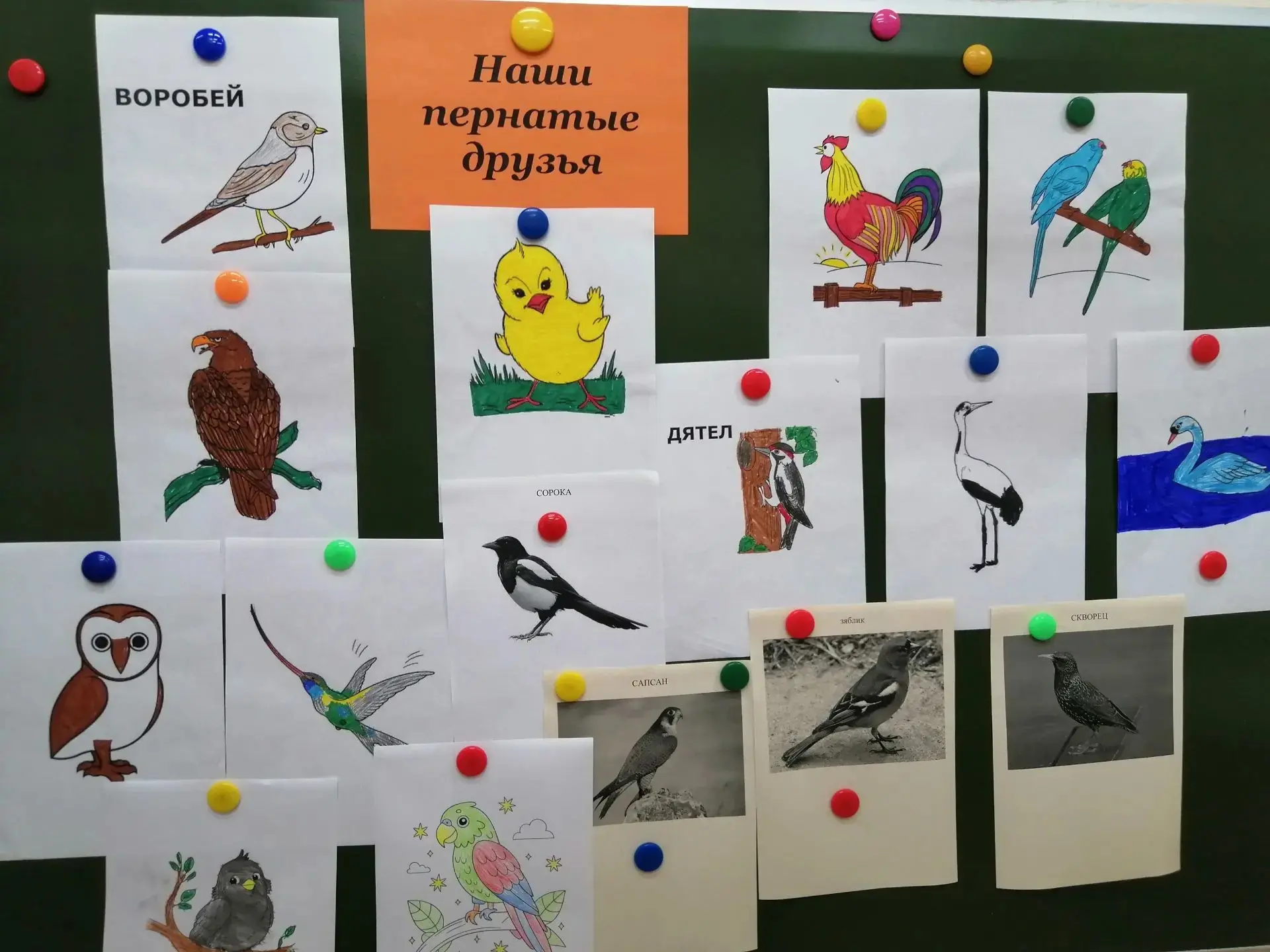 Летний лагерь дневного пребывания. Отряд "Юный эколог"

В профильном отряде  "Юный эколог", руководи