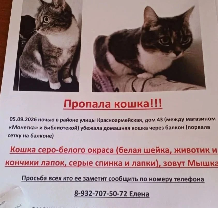 Добрый вечер!Опубликуйте пожалуйста!🙏🙏🙏