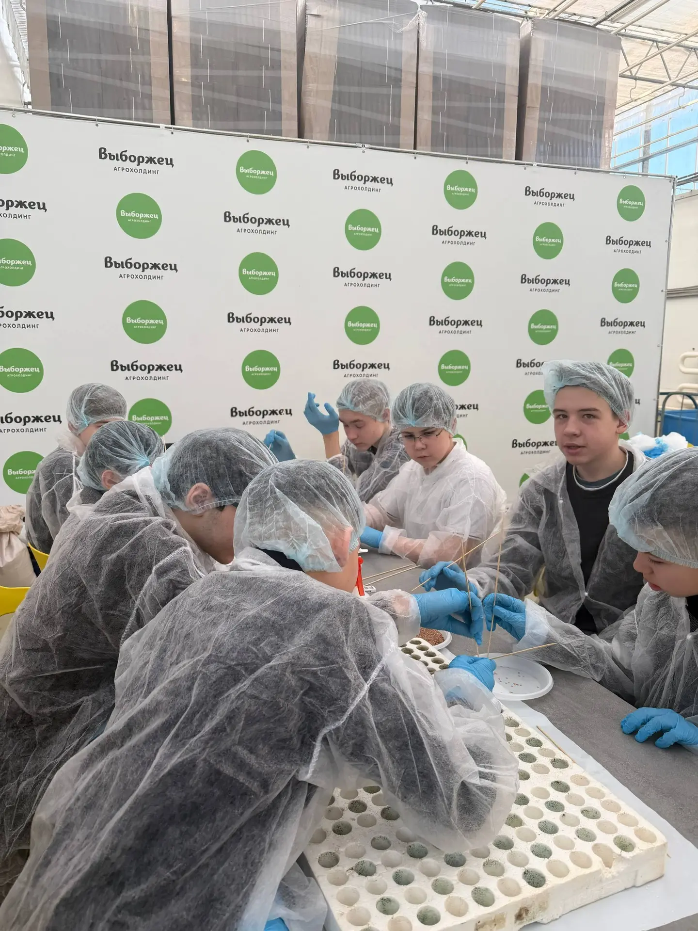 🌱В рамках сетевого взаимодействия с агрофирмой «Выборжец» обучающиеся 7-го агротехнологического клас