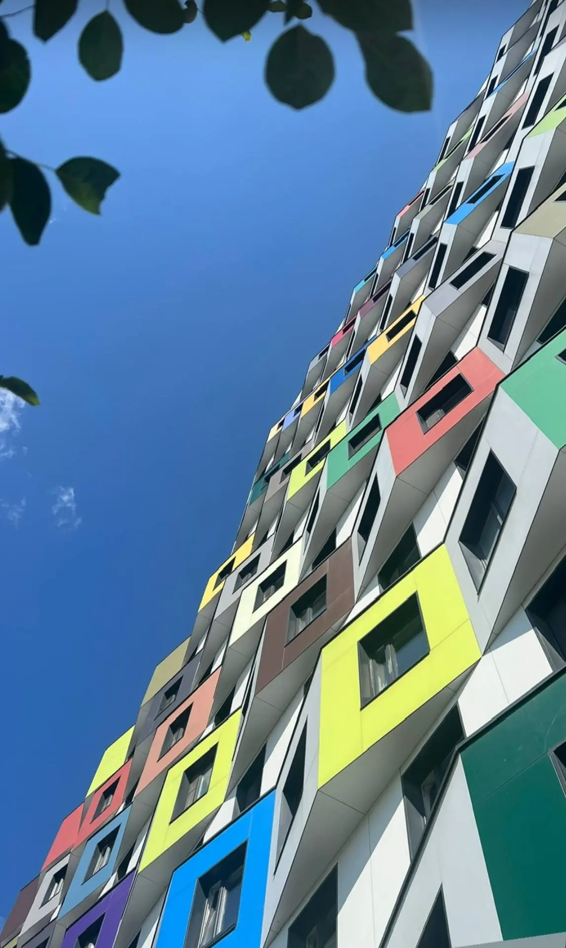 Немного ярких городских красок ☀️ 🌱  💦