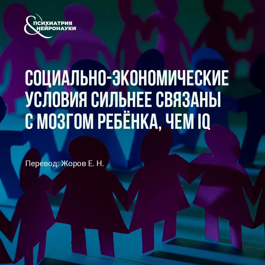 В Science опубликовано крупное нейровизуализационное исследование, которое показывает: среди сотен ф