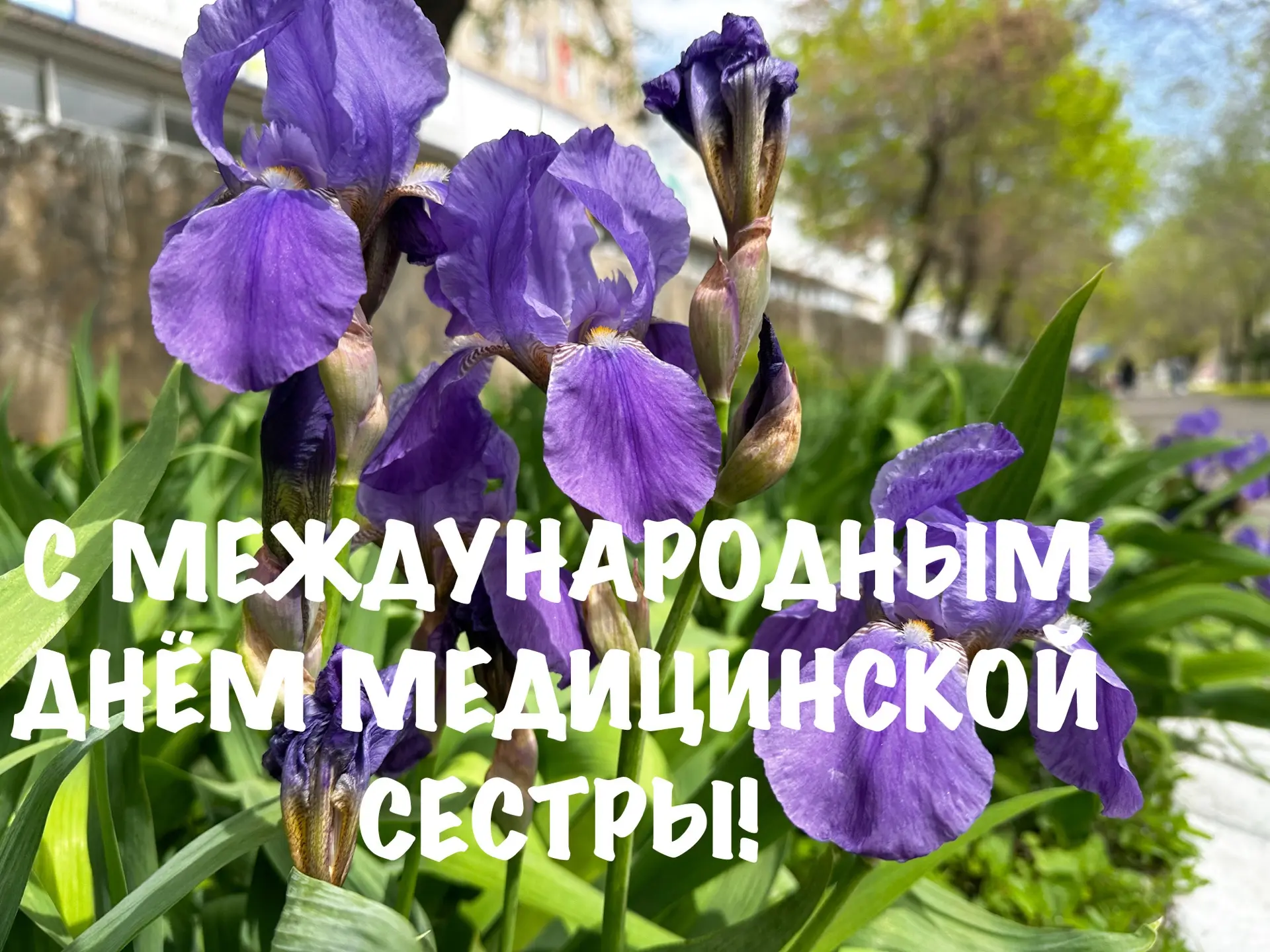 ✳️12 мая – Всемирный день медицинской сестры. В больнице им. Пирогова работает 498 меди...