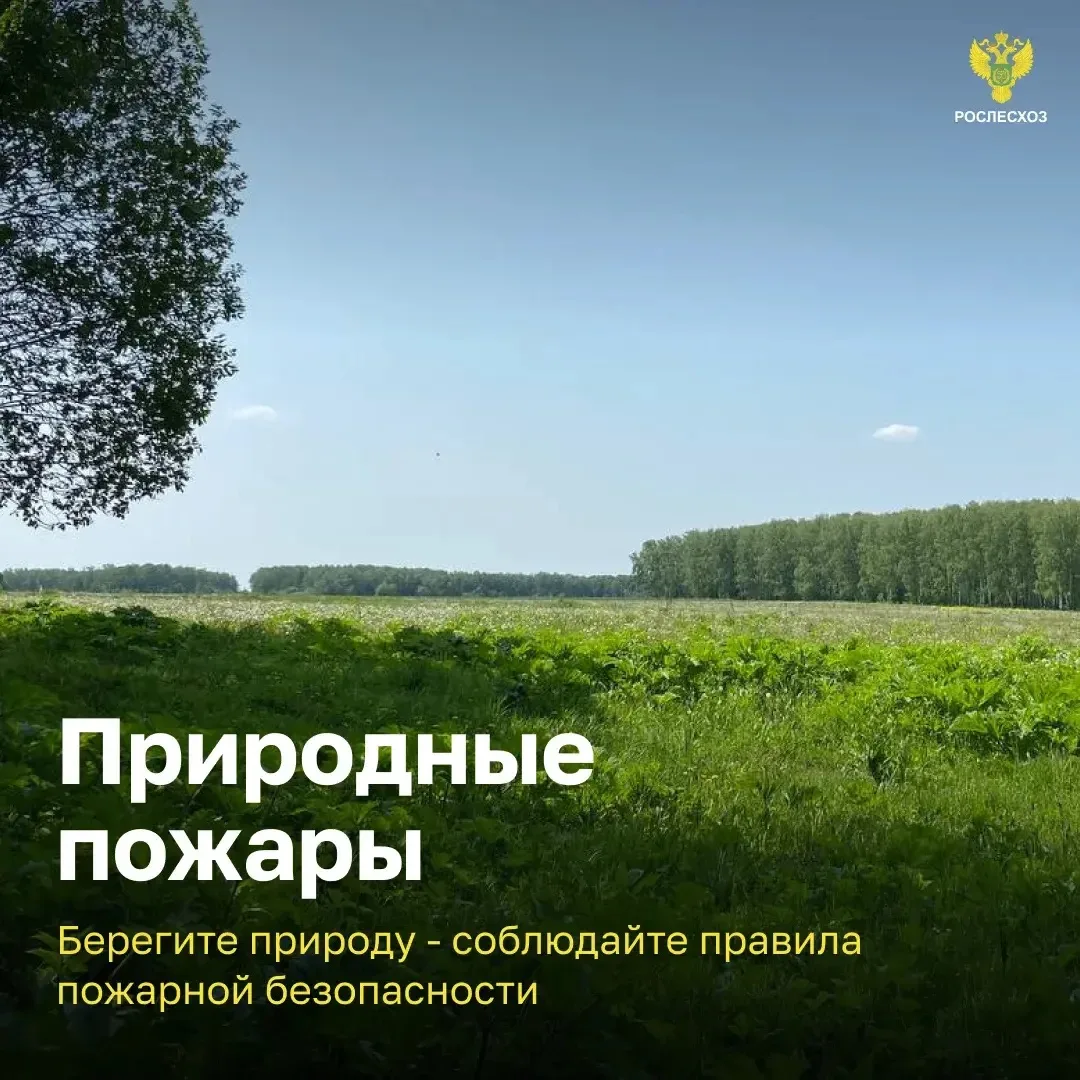 Виды природных пожаров 🔥

Будьте бдительны при отдыхе на природе, берегите себя и своих близких ❤️