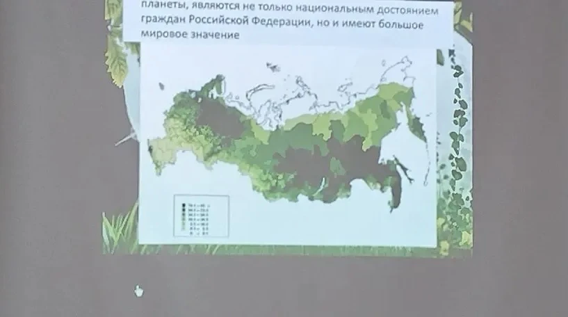🌳Международный день леса!   🏡В 2012 году Генеральная Ассамблея Организации Объединенных Наций провоз