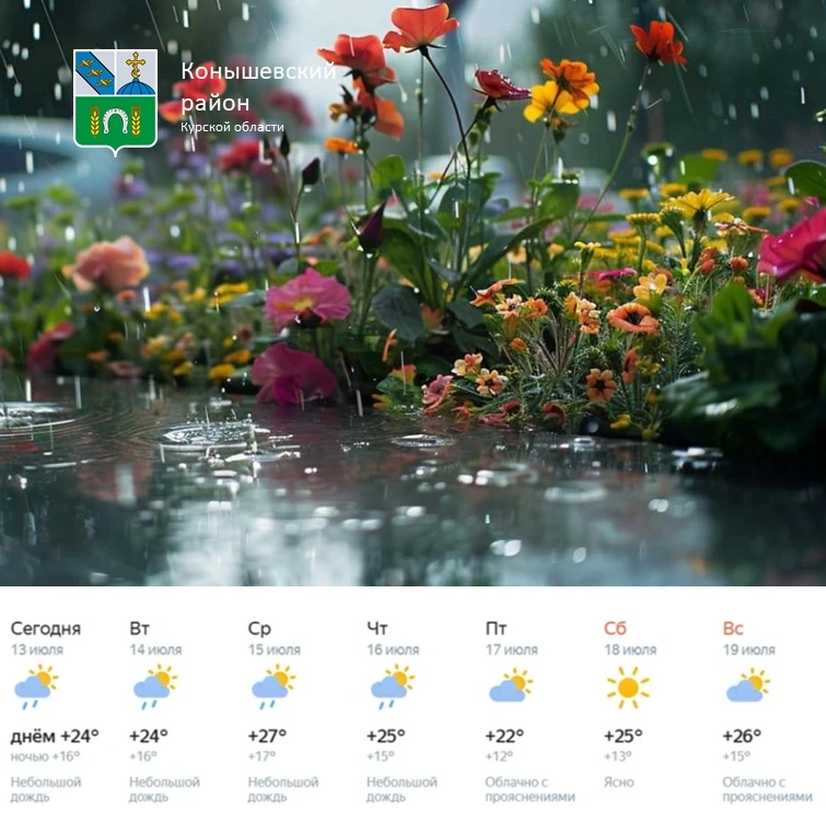 🌧 Доброе утро! Неделя начнется с дождей, но к выходным погода улучшится.