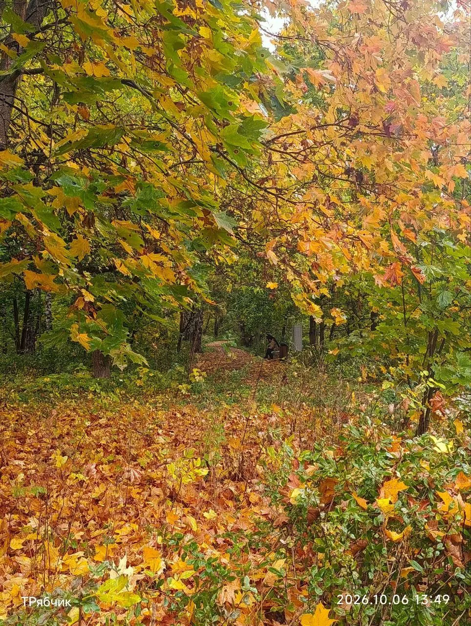 Дождливый, но очень красивый октябрь ☔🍂