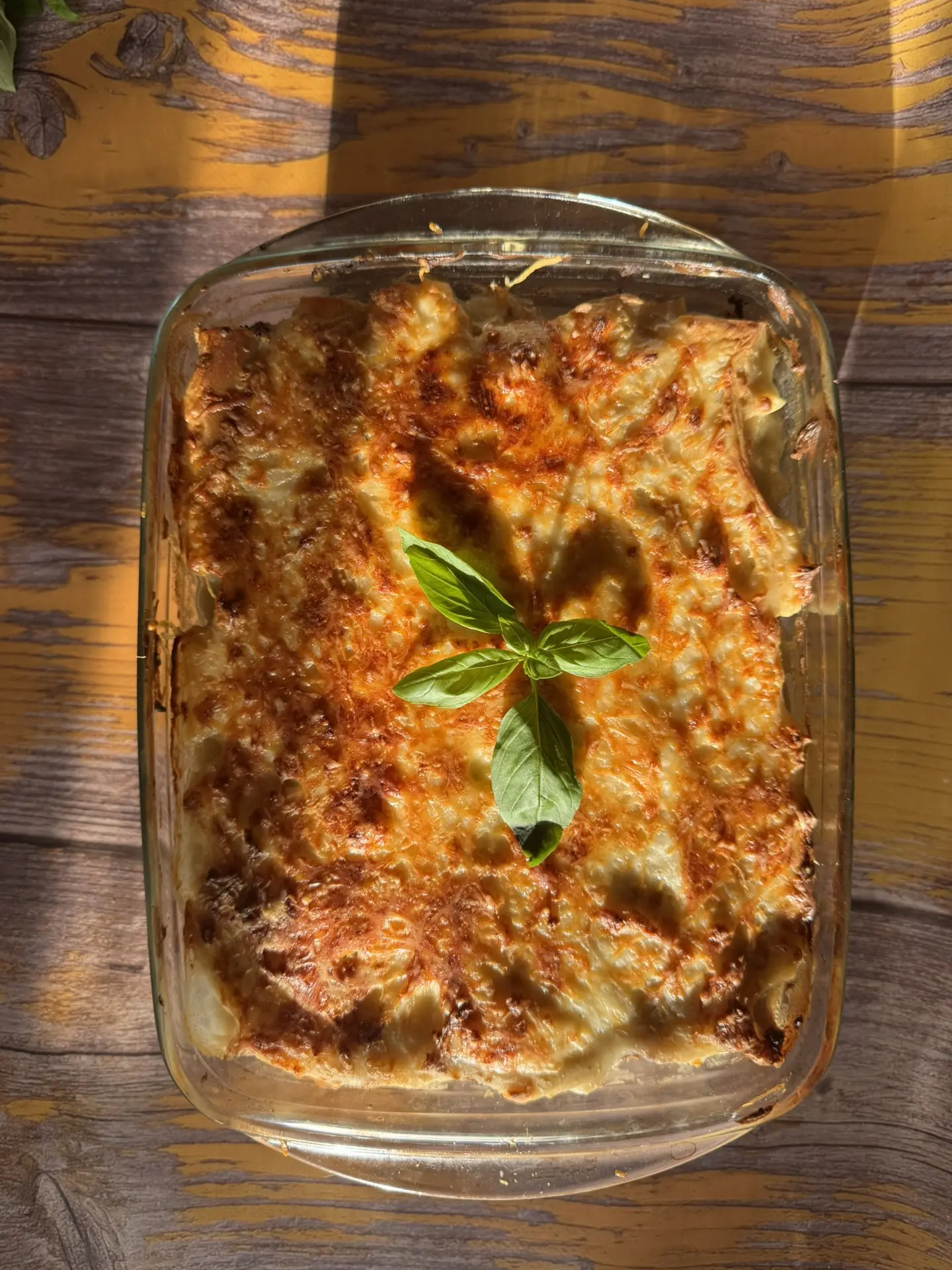 Каннеллони