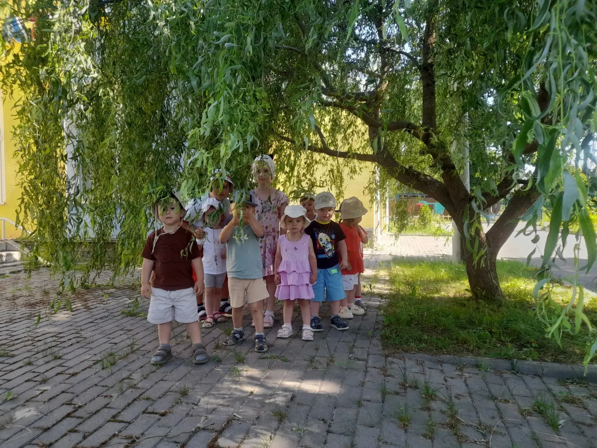 🌳 Лесная прогулка: изучаем деревья! 🍃

Сегодня наши маленькие воспитанники из группы 12 «Горошины»