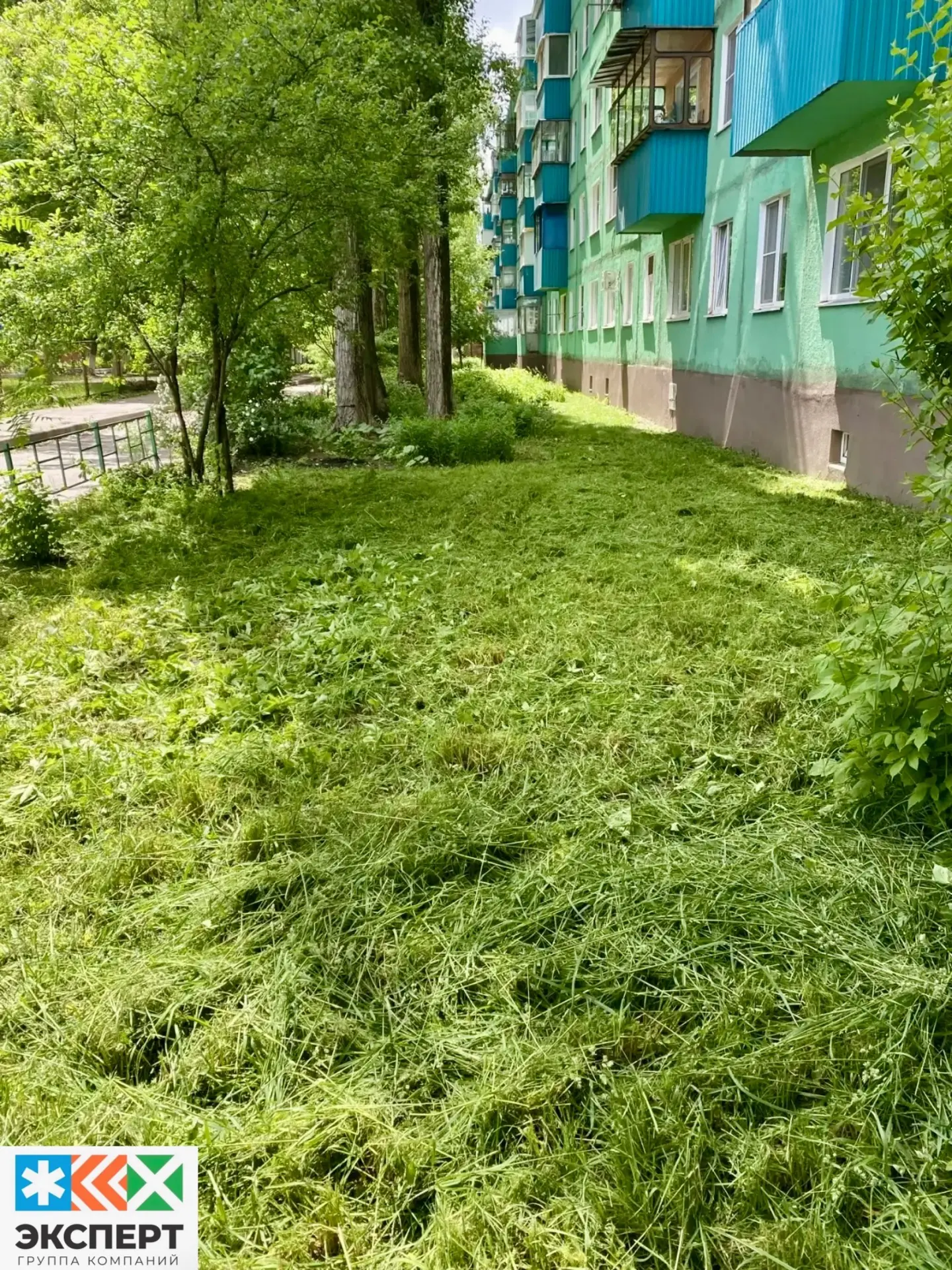 ООО УК «Развитие» произвела покос сорной растительности, по адресу: