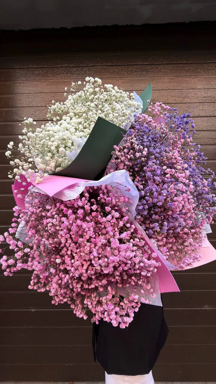 Гипсофила  по супер цене в KLUMBA🌷