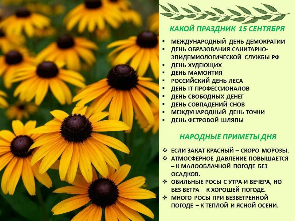 🌟Сегодня 15 сентября 2026 года, вторник