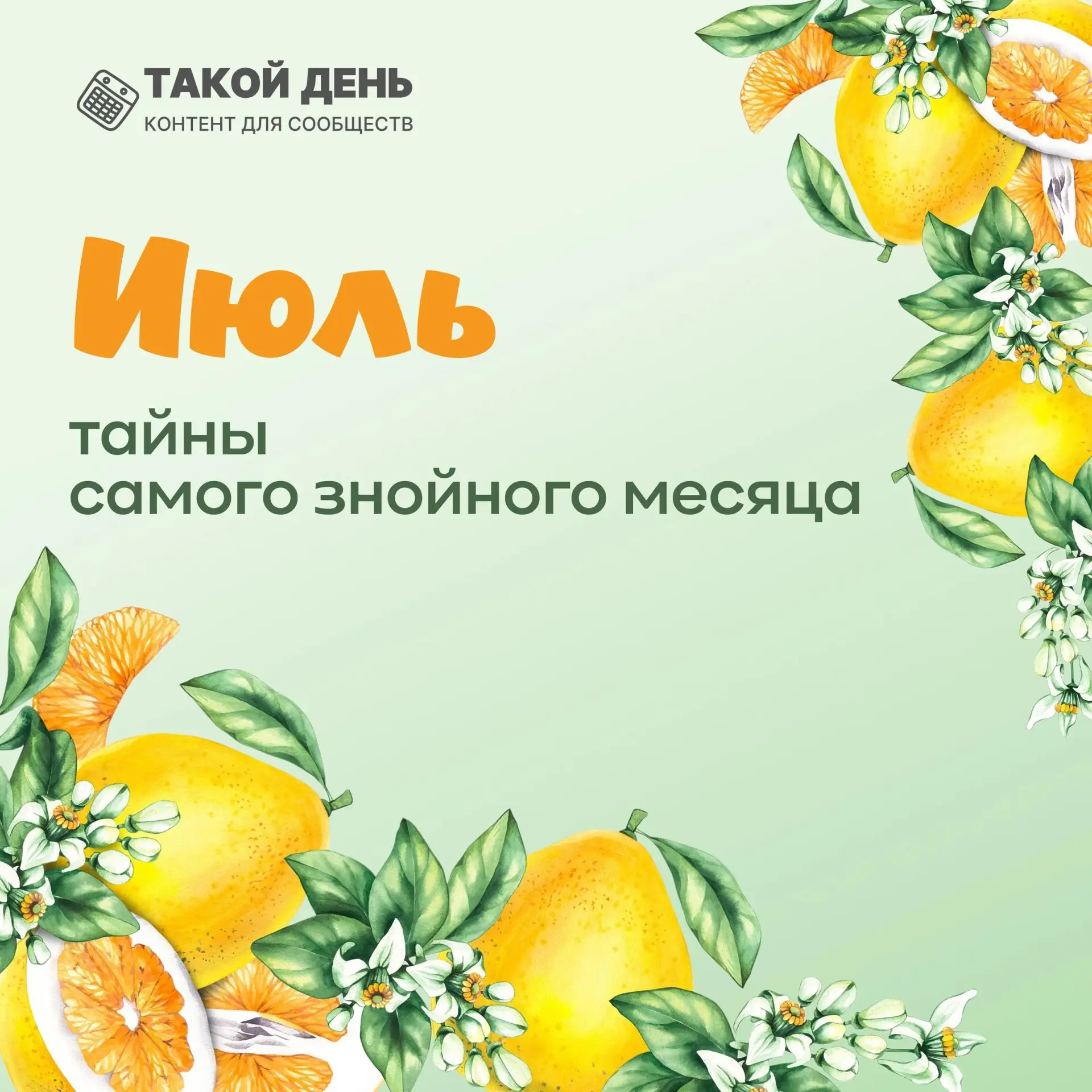 Медиа публикации