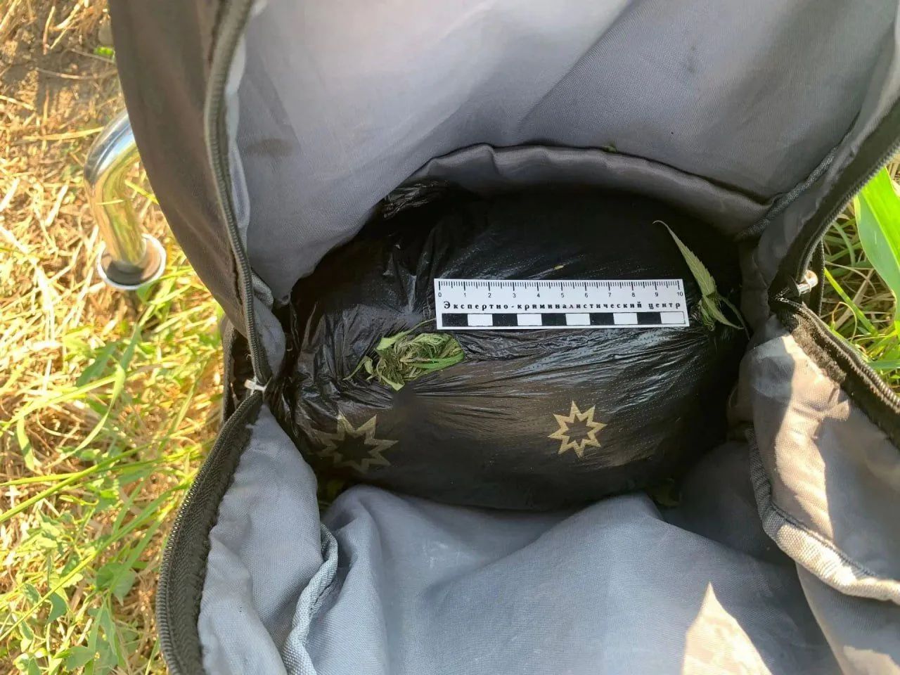 В Майском районе полиция изъяла более 350 граммов марихуаны у двух мужчин.