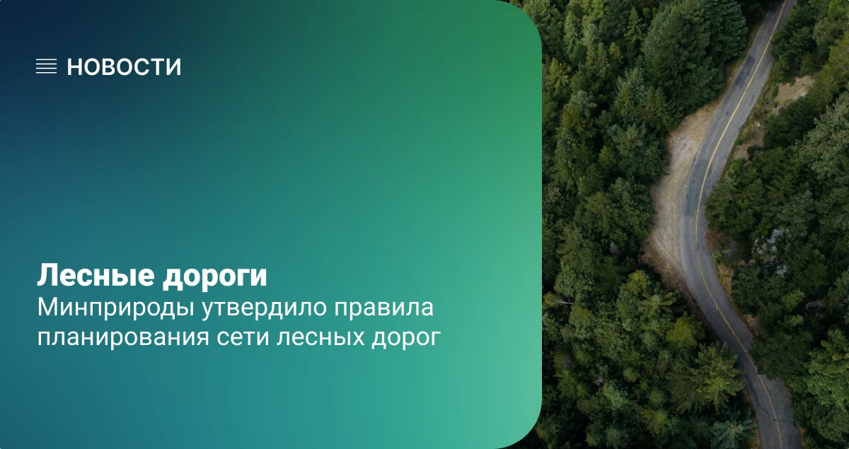 Лесные дороги наконец-то строят по правилам: Минприроды утвердило единый подход к плани...