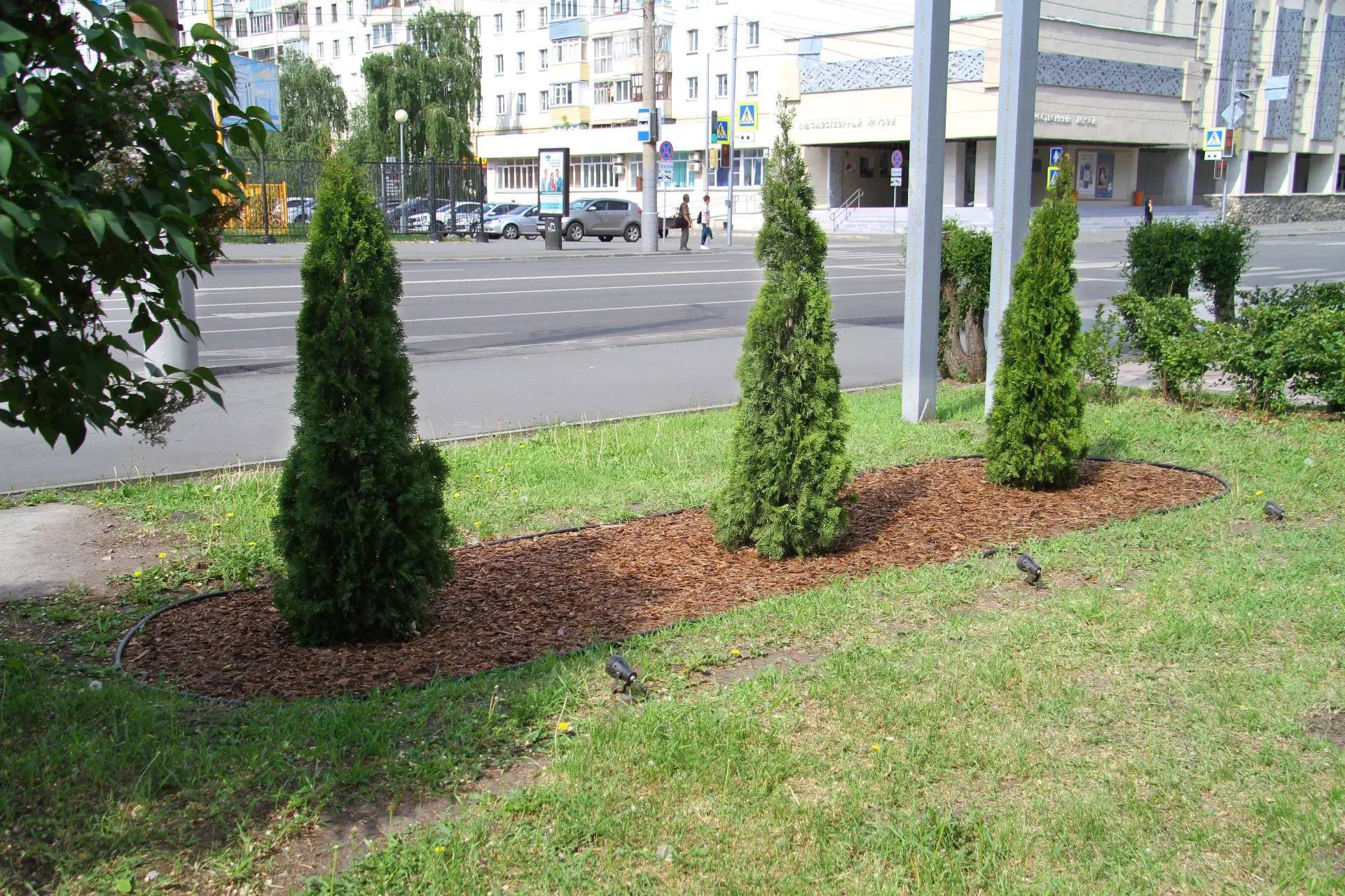 🌳Сквер имени Благонравова, появившийся на пересечении улиц Горького и Пролетарской мен...