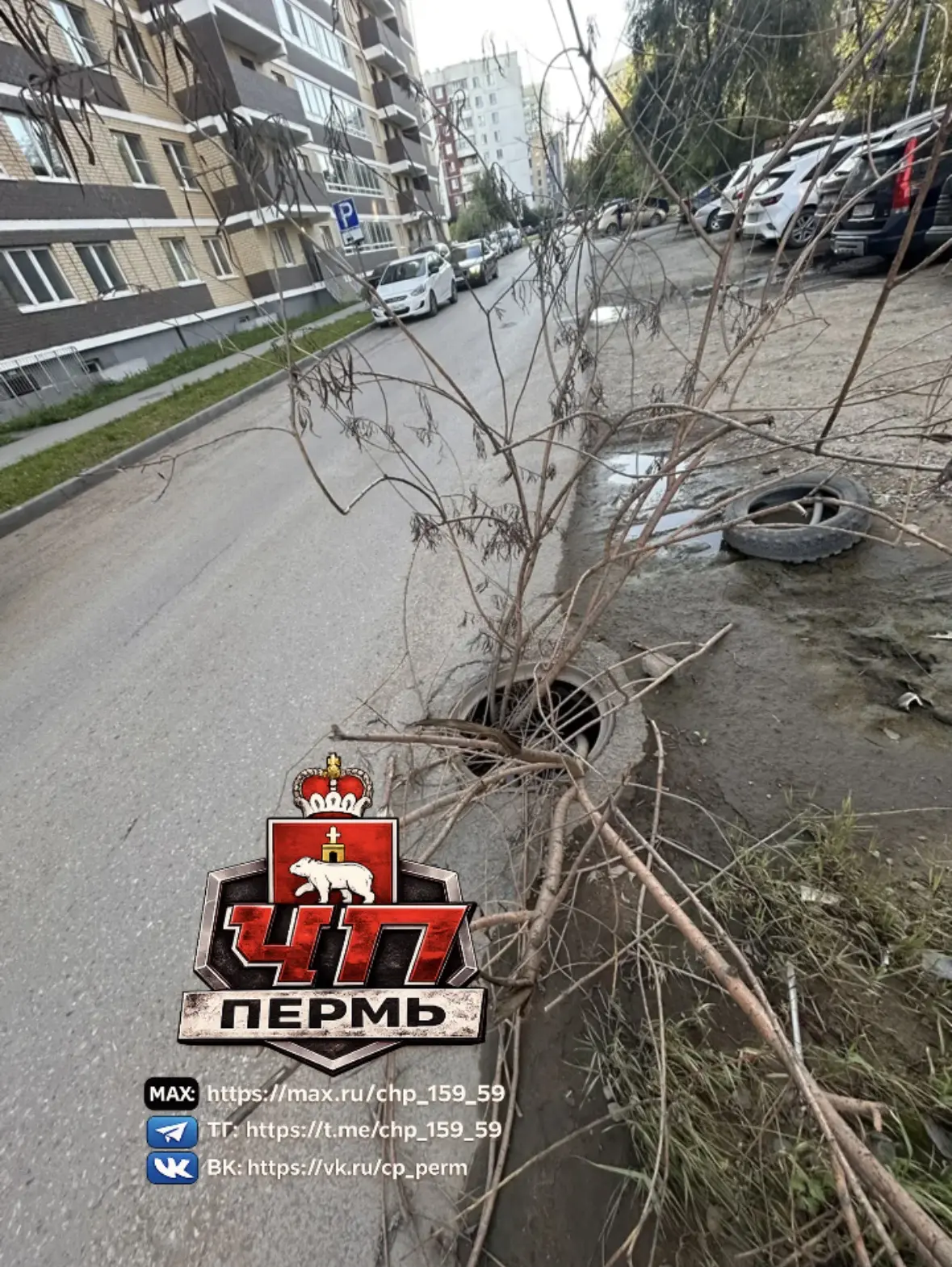 От подписчика