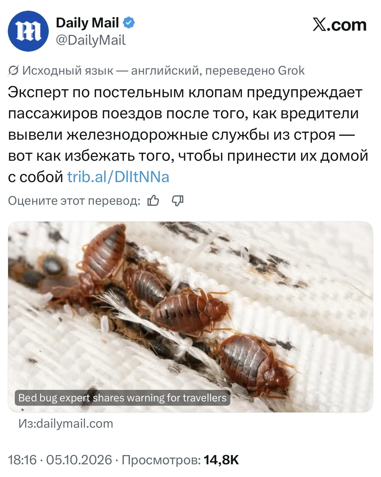 Господи, что у них там происходит