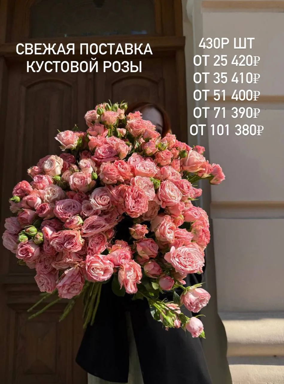 К нам пришла свежая поставка кустовой розы😍 

Ждём Вас❤️