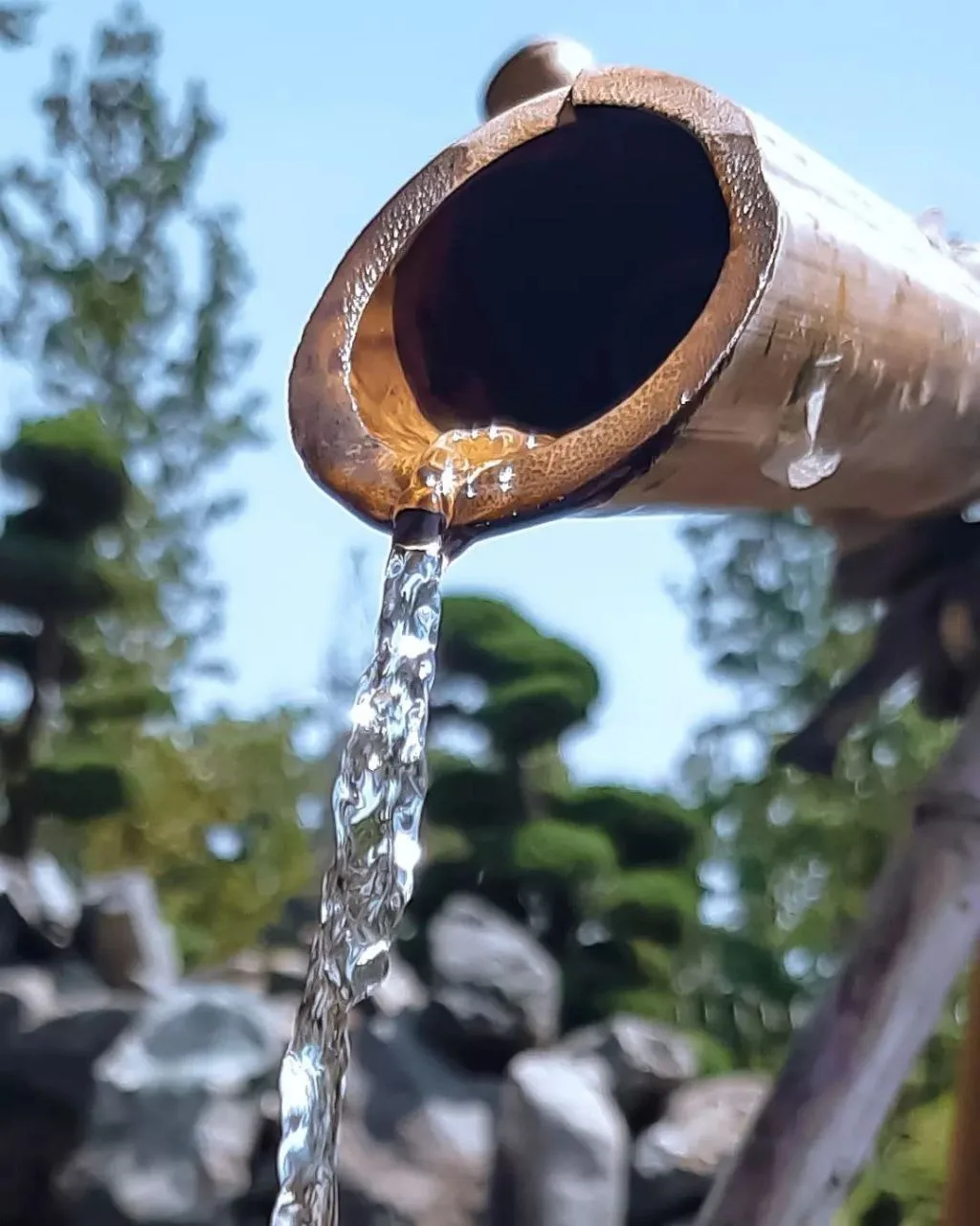 ☘Цукубай 🎋💧🪨

🧧В Японии цукубаи - это раковина, где гость может ритуально вымыть руки и губы. Ри