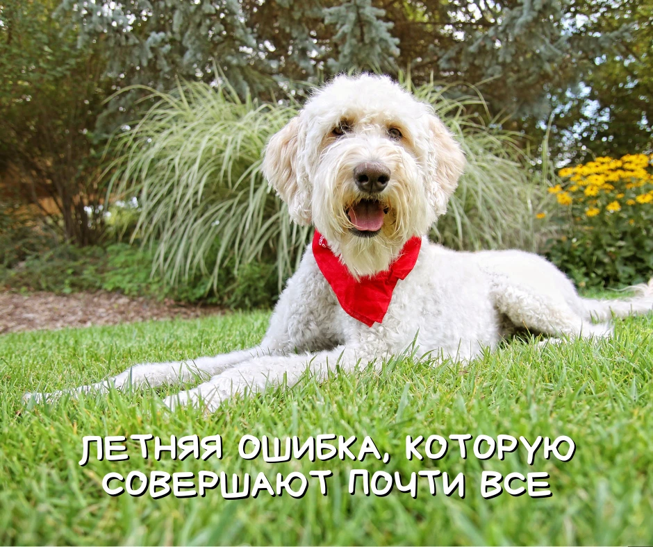 Есть одна летняя ошибка, которую совершают почти все.