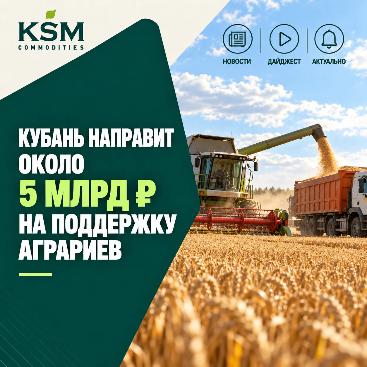 🌾 Кубань направит около 5 млрд рублей на дополнительную поддержку аграриев