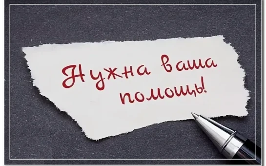 Дорогие мои подписчики и друзья!
