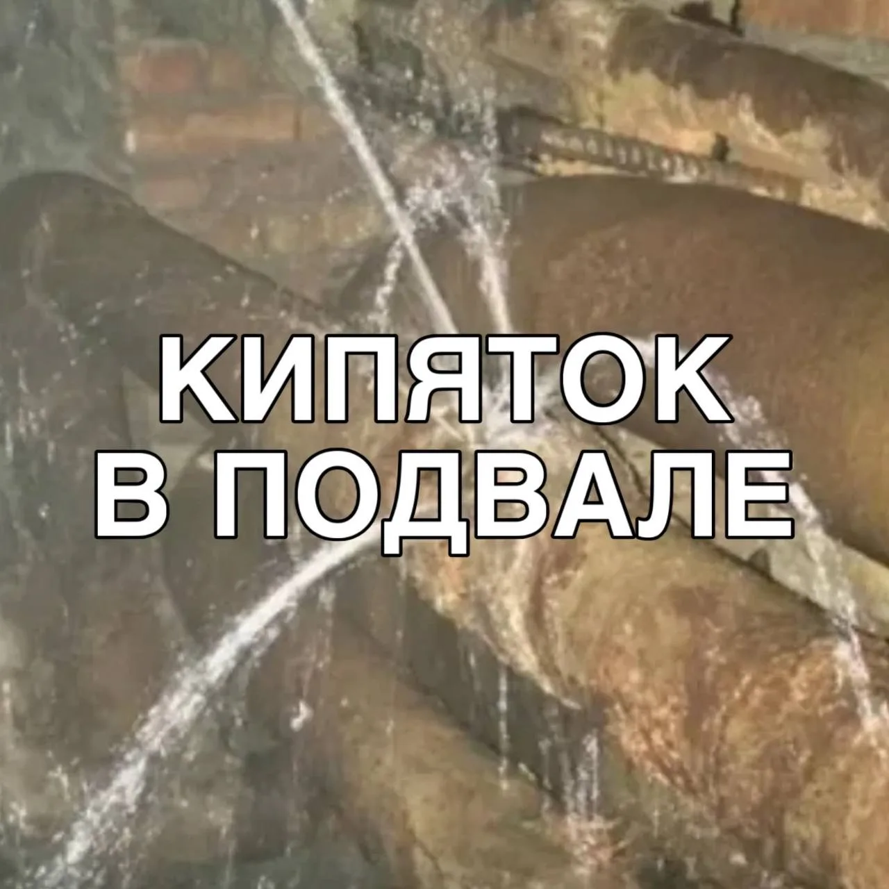 Сосед сообщил, что прошлым вечером на Открытом шоссе, 23к2, в подвале между третьим и ч...