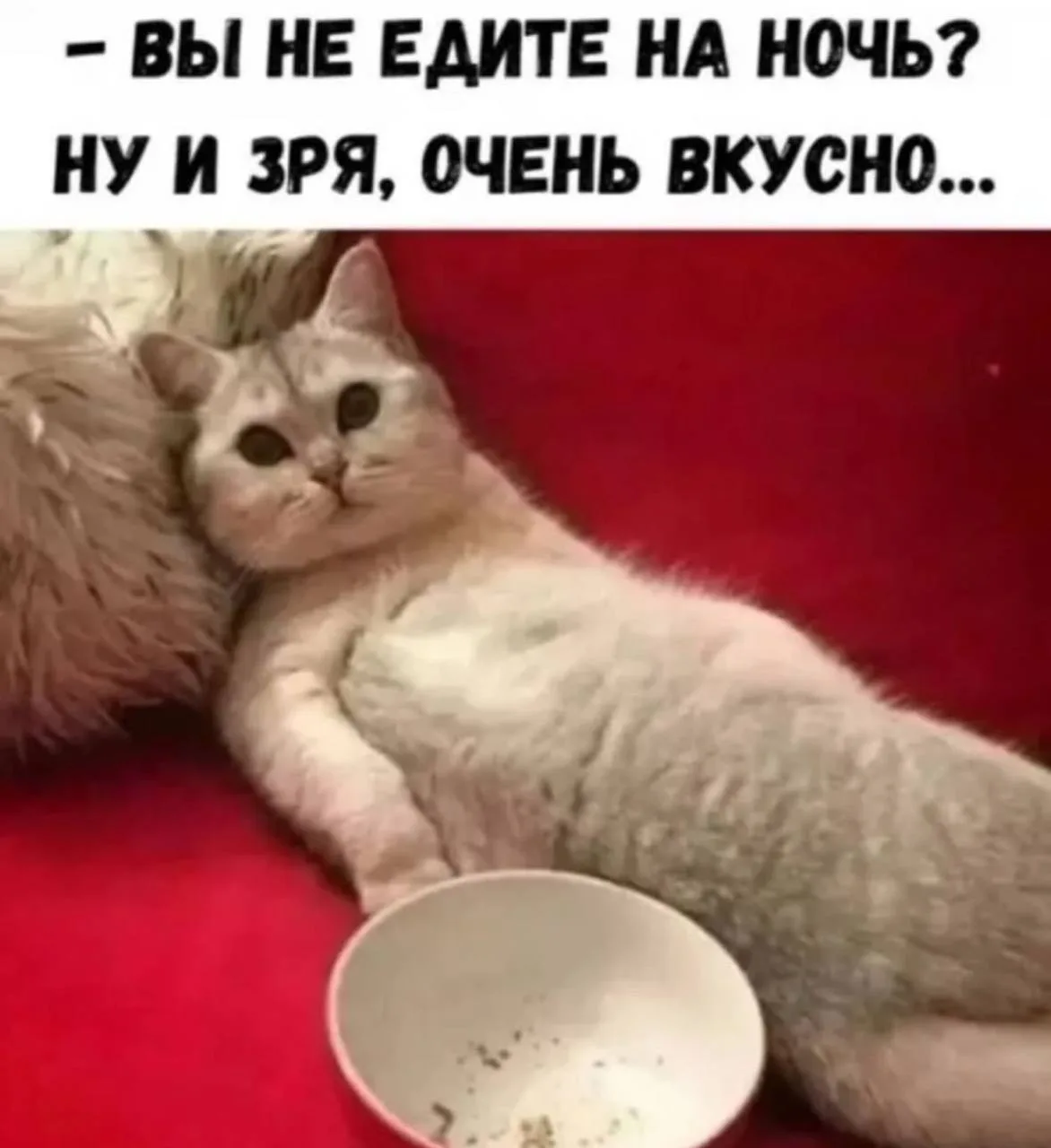 😂