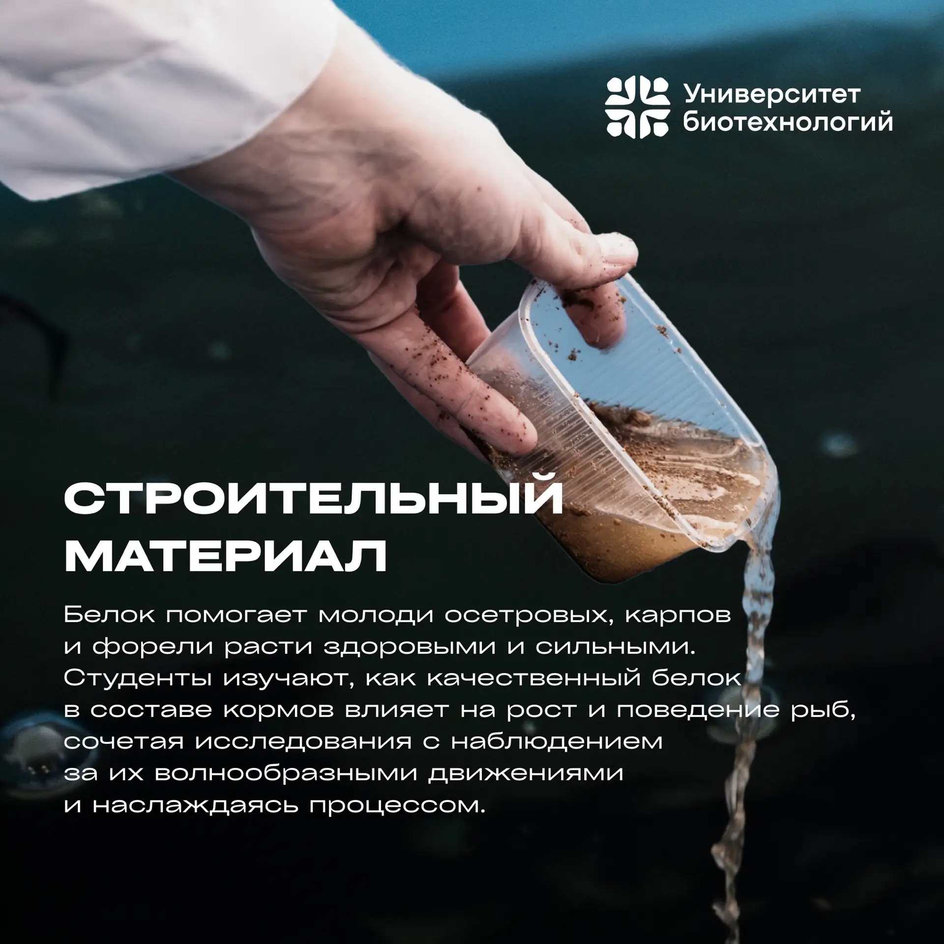 🐾 Лапки, хвосты и перья  В этом лонгриде мы рассказываем о грациозном мире рыб Центра аквакультуры У