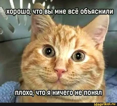 💥Что делать, если…