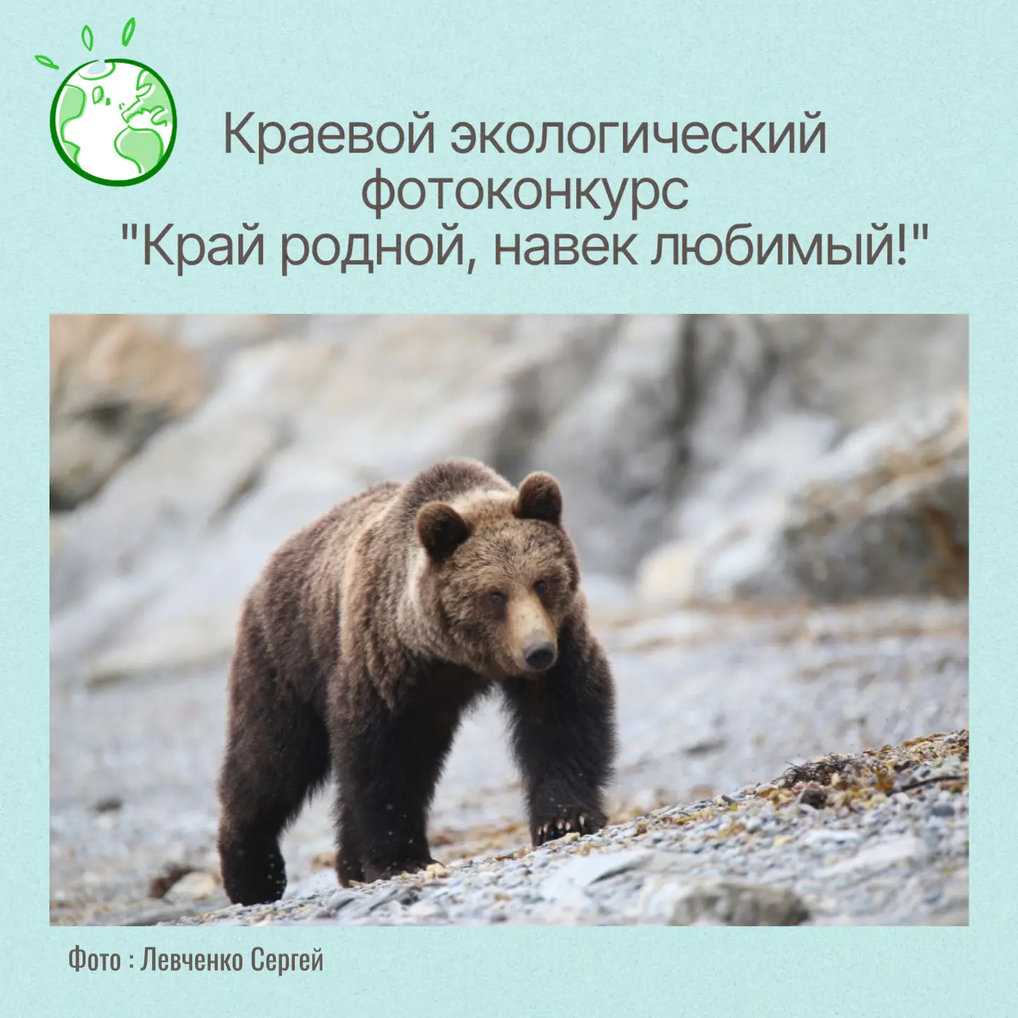 🏞️ Краевой экологический фотоконкурс "Край родной, навек любимый!" 📸

Сроки проведения: с 24 июня 