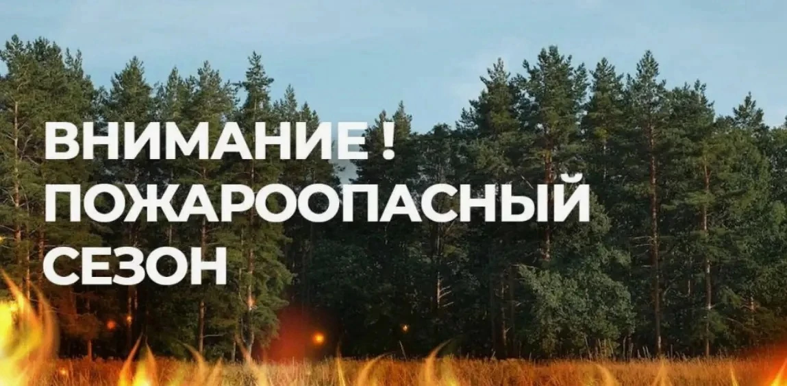Уважаемые жители Читинского муниципального округа!