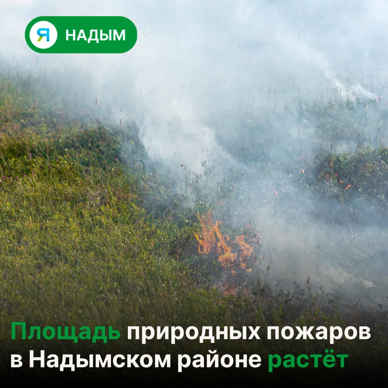 ‼ В муниципалитете действуют 15 природных пожаров

В 30 км от Надыма зафиксированы три возгорания, о
