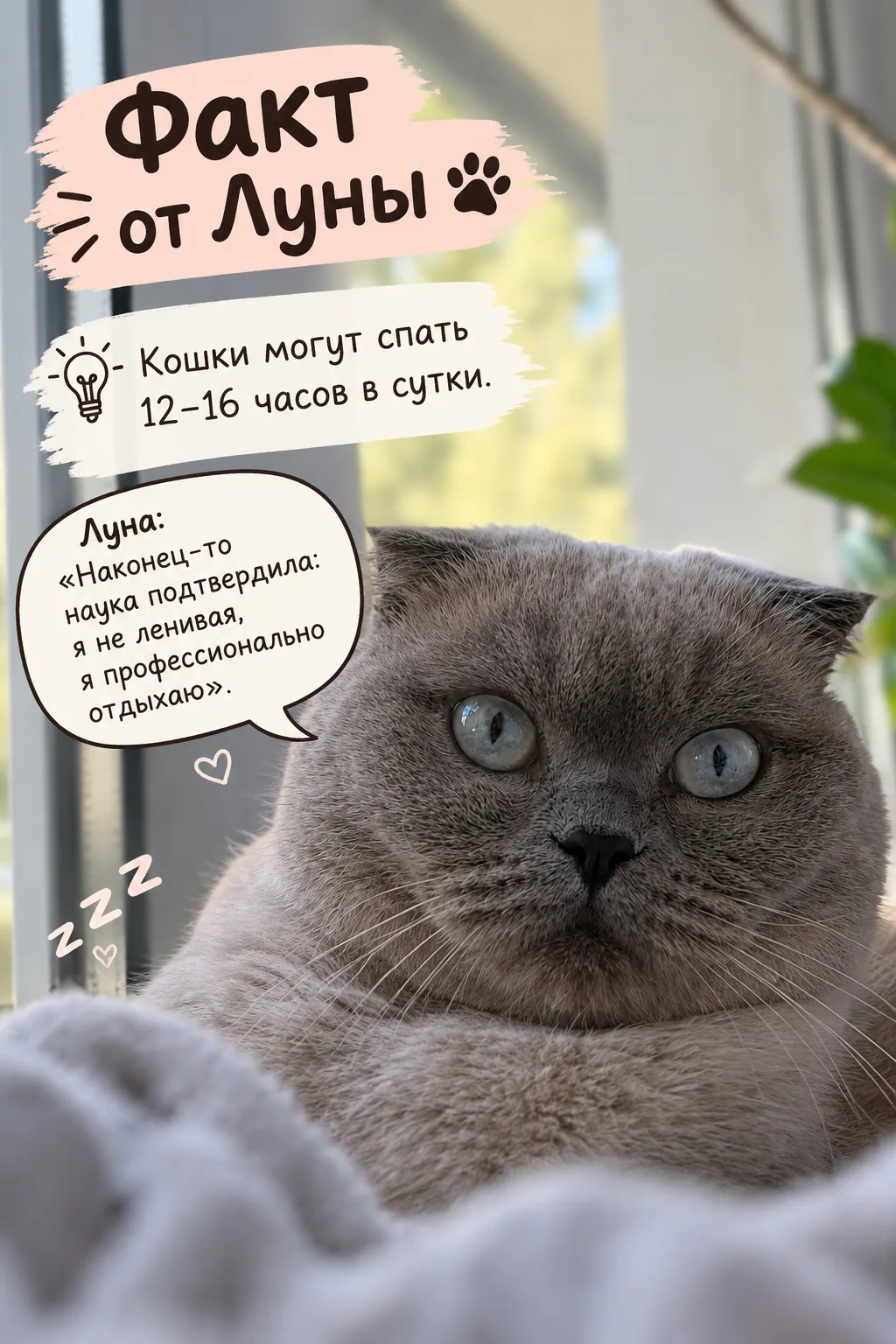 Еще один факт от Луны 😻
