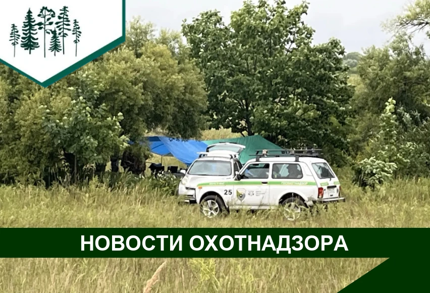📍Сотрудники охотнадзора Хабаровского края продолжают работу по выявлению фактов наруше...
