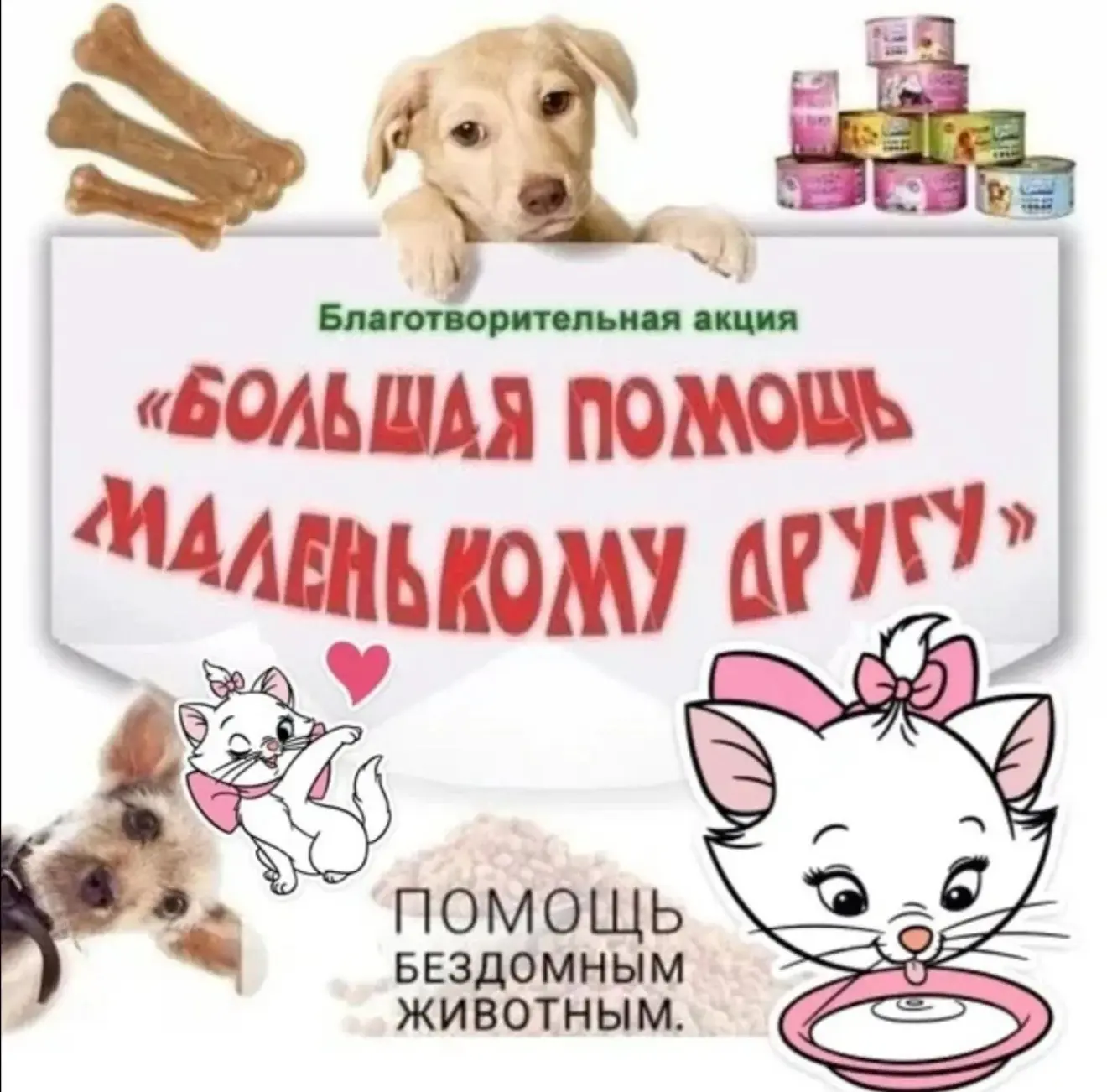 Ко Всемирному дню защиты животных — собираем помощь для хвостатых😻