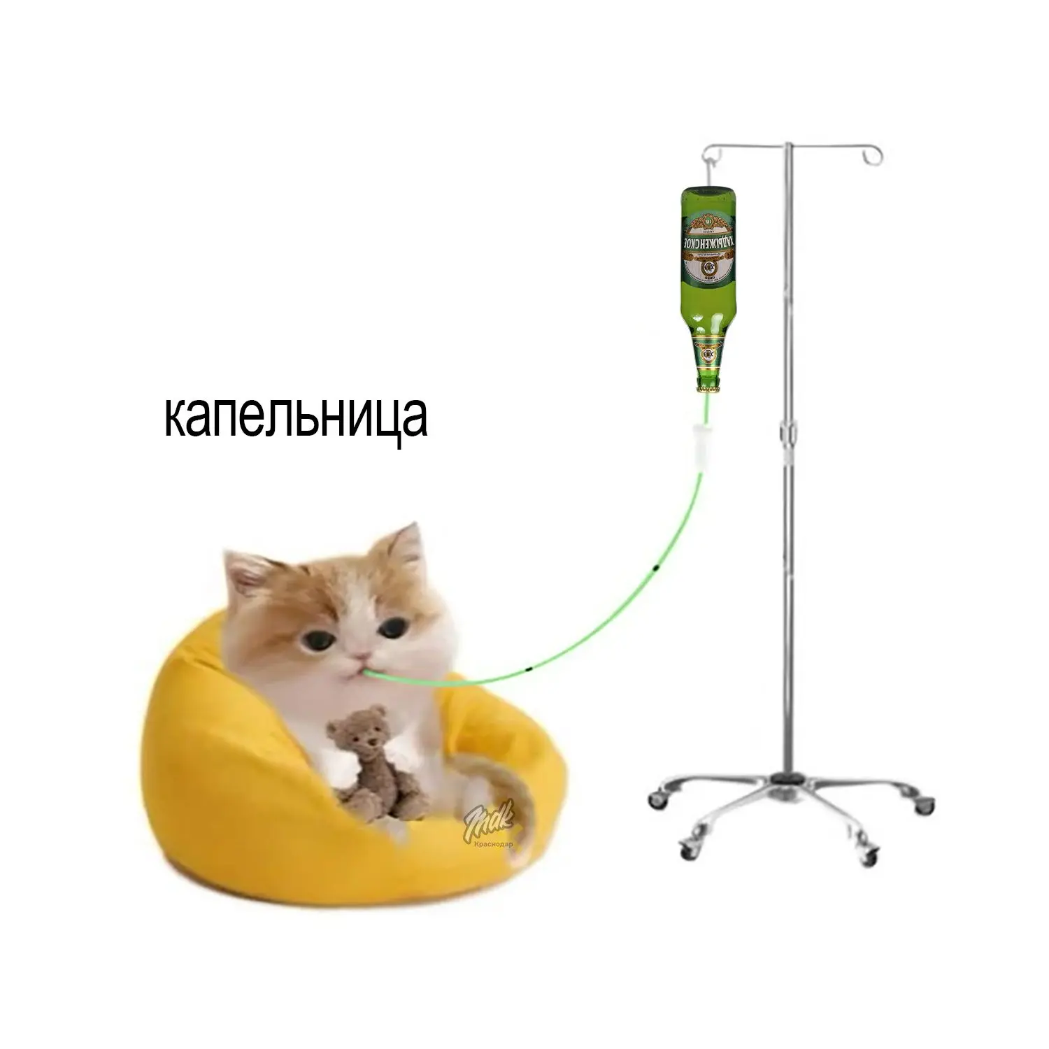 Необходимые процедуры

Подписывайся на MDK Краснодар