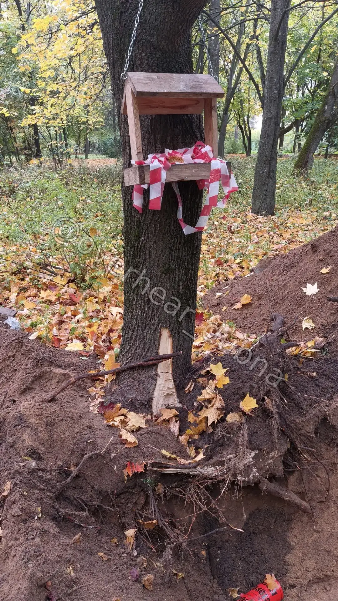 На Понтекорво 5, Московской 12 продолжается вандализм.