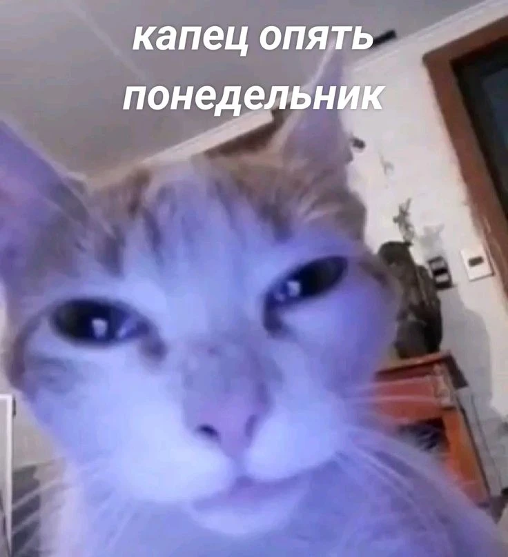 Что ж, как бы мы не сопротивлялись, он пришёл 🥲

С добрым утром понедельника, дорогие подписчики 💗