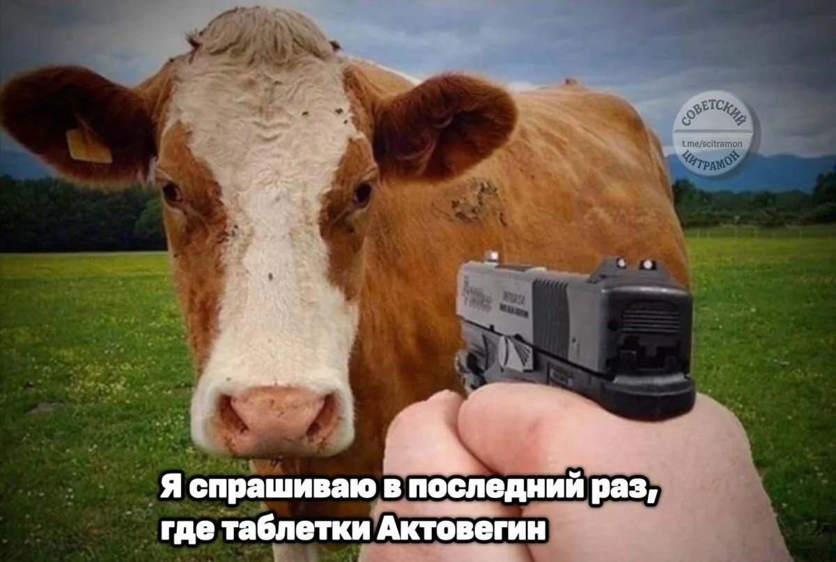 Цитрамон. Подписаться