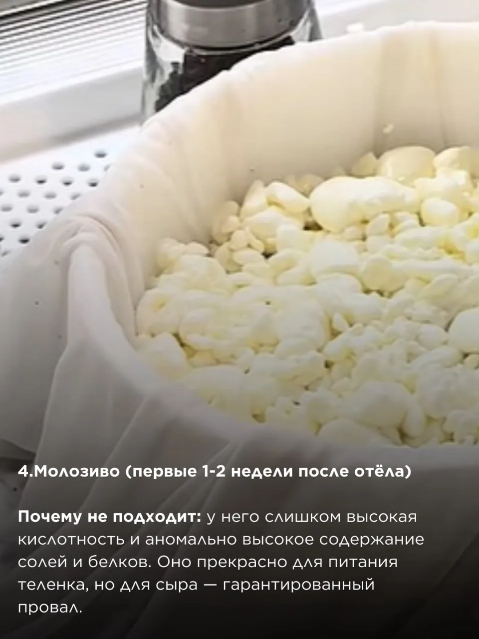 ✖️Какое молоко точно НЕ подходит для сыра?  От выбора молока зависит качество и вкус сыра в первую о