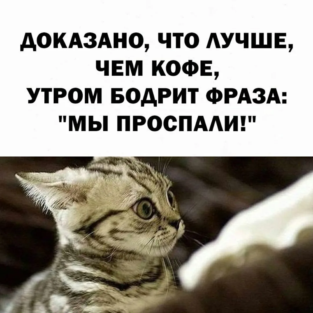 Молния ⚡Юмор