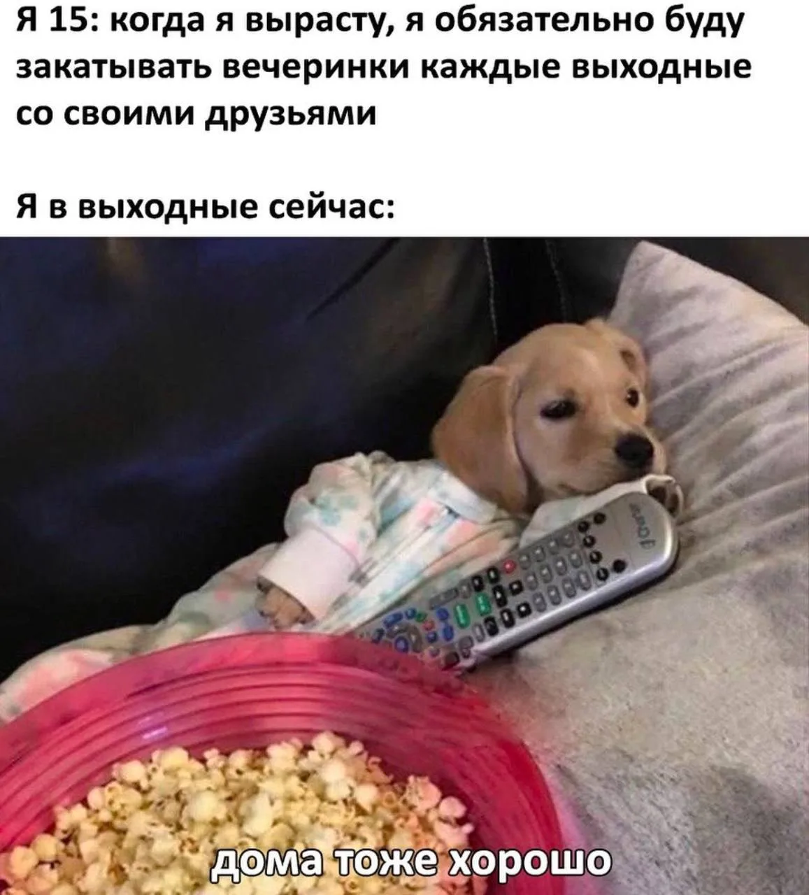Кукуха в отъезде 🐦