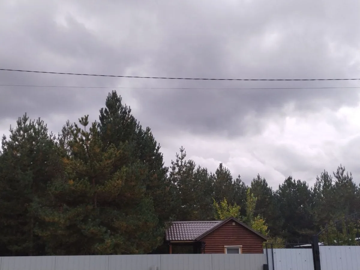 Штормовое предупреждение объявили в Воронежской области
https://voronezhnews.ru/fn_1886001.html

В В