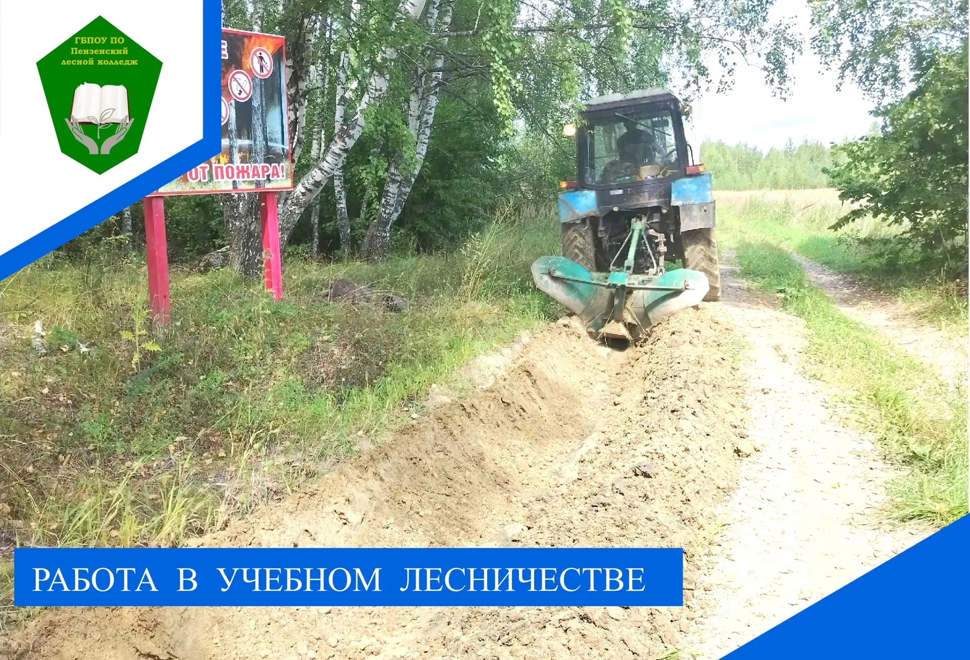 В колледже продолжаются летние работы на территории учебного лесничества. В настоящее в...